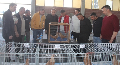 Başkan Derya Bulut Pınarhisar’daki Festivale Katıldı