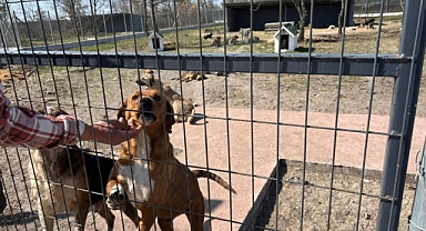 Edirne Kent Konseyi'nden Farkındalık Hamlesi: Sahiplenme Çağrısı