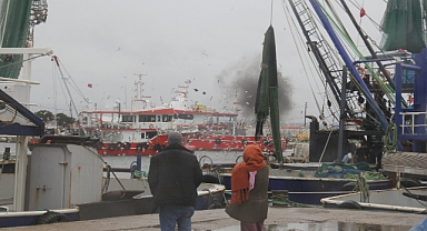 İğneada Limanında Martılar Görsel Şölen Sunuyor