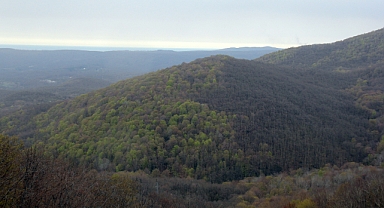 Istrancalar Yeşile Bürünüyor: Görsel Şölen Başladı
