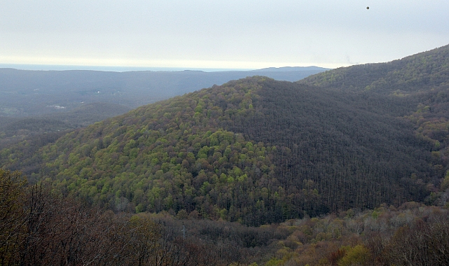 Istrancalar Yeşile Bürünüyor: Görsel Şölen Başladı