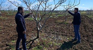 Karaağaç Köyü Üreticilerine Ceviz Üretiminde Teknik Destek