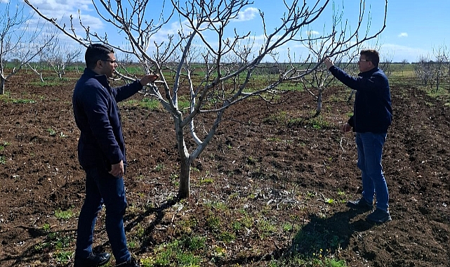 Karaağaç Köyü Üreticilerine Ceviz Üretiminde Teknik Destek