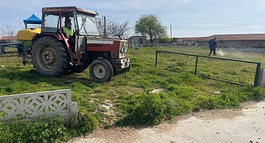 Kaynarca'da İlaçlama Çalışmaları Aralıksız Sürüyor