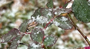 Kırklareli İçin Zirai Don Uyarısı