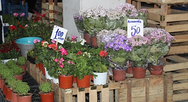 Kırklareli'nde Çiçek Sezonu Açıldı: Fiyatlar Ne Kadar?