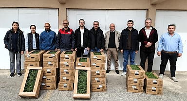 Kırklareli'nde Çiftçiye Can Suyu: Domates Fidesi Dağıtımı Yapıldı