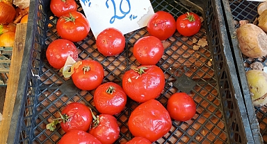 Kırklareli'nde Ezik Domatese Yoğun İlgi