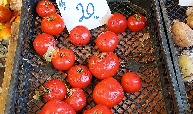Kırklareli'nde Ezik Domatese Yoğun İlgi