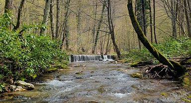 Kırklareli'nin Saklı Cenneti: Mahya Dağı ve Istranca Gerçeği