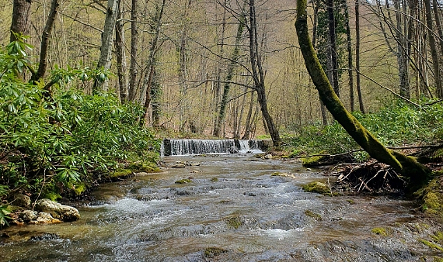Kırklareli'nin Saklı Cenneti: Mahya Dağı ve Istranca Gerçeği