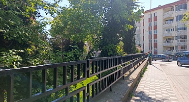 Kırklareli Valiliği'nde Estetik Dokunuş! Demirler Baştan Boyandı