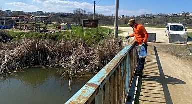 Kıyıköy'de Larva İlaçlama Çalışmaları Yapıldı