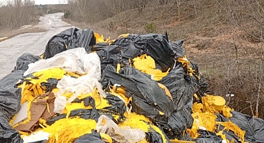 Koruköy'de Çevre Alarmı: Kimyasal Atık Tespit Edildi