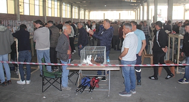 Pınarhisar’da Gönüllere Taht Kuran Renkli Festival