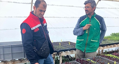 Pınarhisar'da Tarımda Saha Çalışmaları Devam Ediyor