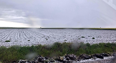 Saray'da dolu etkili oldu