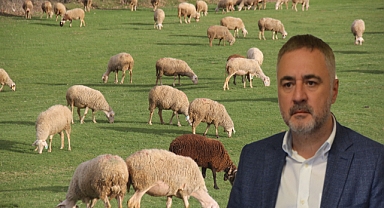 Sarıçam: Küçükbaş Hayvancılığa Büyük Destek Başladı