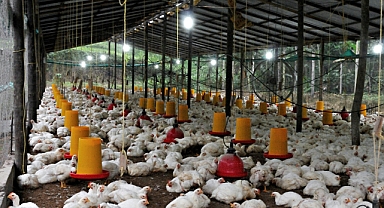 Şubat Ayında Üretim Rakamları Açıklandı