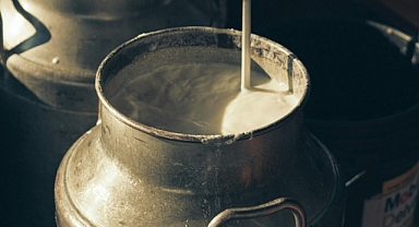 Süt Üretiminde Düşüş, Ürünlerde Artış: Şubat Verileri Şaşırttı