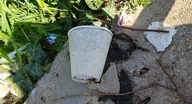 Tek Kullanımlık Plastiklere Yeni Düzenleme Geliyor