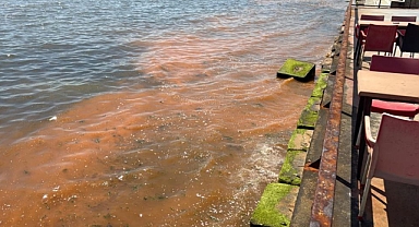 TEKİRDAĞ KIYILARINDAKİ RENK DEĞİŞİMİNİN NEDENİ: MEVSİMSEL ALG PATLAMASI