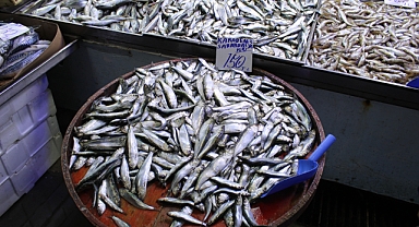 Uygun Fiyatlı Balık Arayanlara Müjde