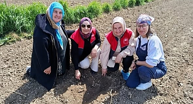 Kadın Çiftçiler Fasulye Tohumlarını Toprakla Buluşturdu
