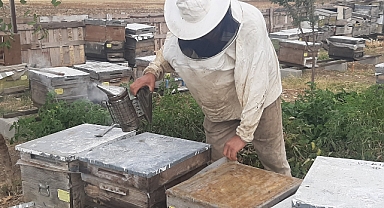 Kırklareli'nde Arıcılık Yatırımlarına Büyük Destek