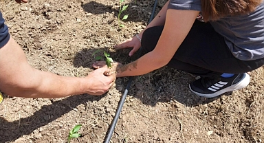 Kırklareli'nde Örnek Proje: Çocuklar Hobi Bahçesinde