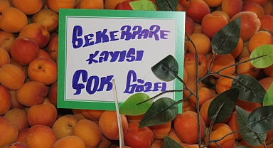 Kırklareli Pazarlarında Kayısı Hareketliliği