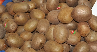 Kivinin Kilosunu Gören Dönüp Bir Daha Bakıyor
