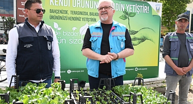 Lüleburgaz'da 15 Bin Atalık Fide 1 Saatte Tükendi!