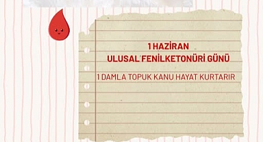 Fenilketonüri Nedir? Kalıtsal Metabolik Hastalık Hakkında Bilgilendirme