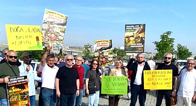 Hakan Dedeoğlu: 