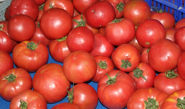 Pazarda Vatandaşı Sevindiren Gelişme: Pembe Domatesin Fiyatı Geriledi